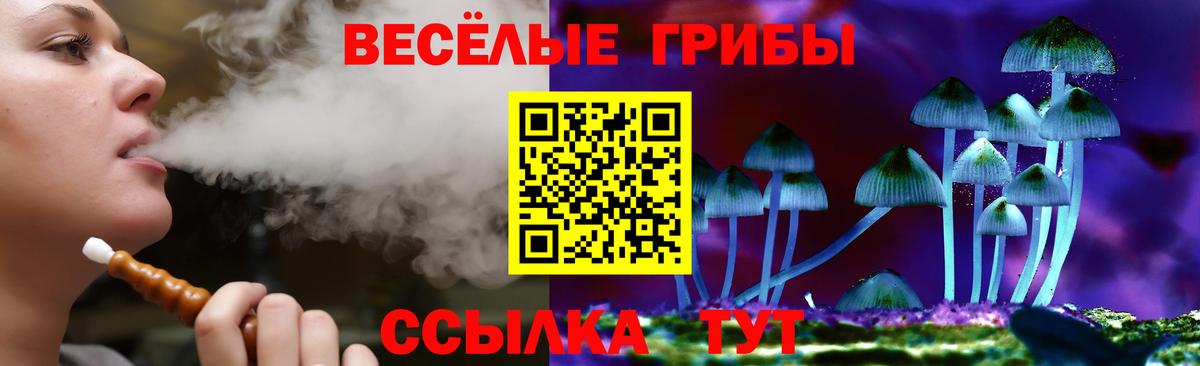 Галлюциногенные грибы Psilocybe Алатырь
