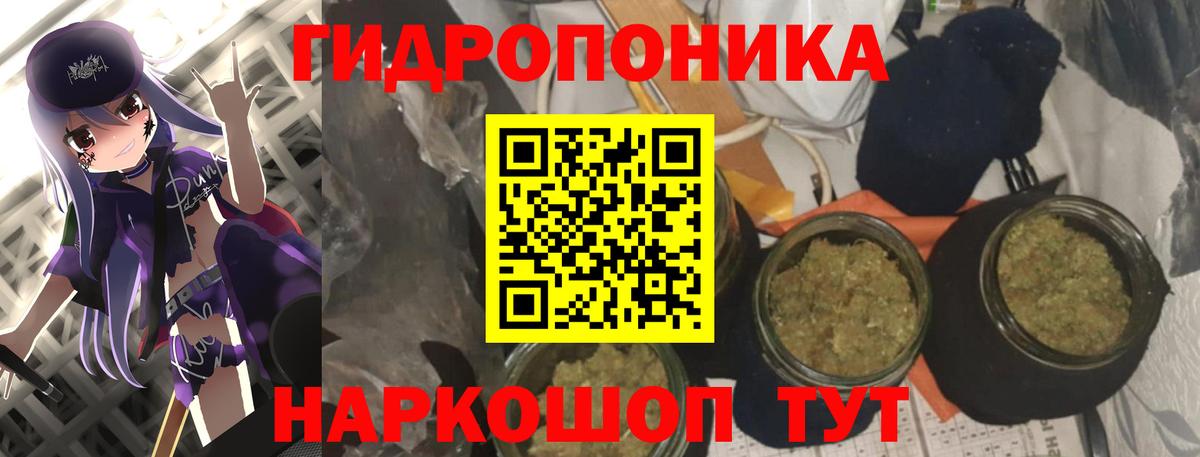 Конопля SATIVA & INDICA  Каннабис White Widow  Алатырь  Конопля MAZAR  Конопля гибрид  Вход с VPN 